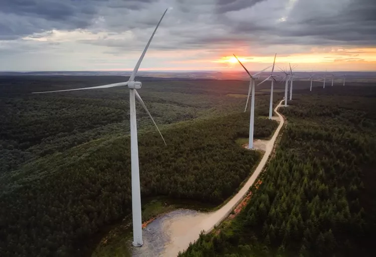 Wind turbine farm on beautiful forest landscape at sunset. Renewable energy production for green ecological world. Aerial view of wind mills farm park on evening mountain